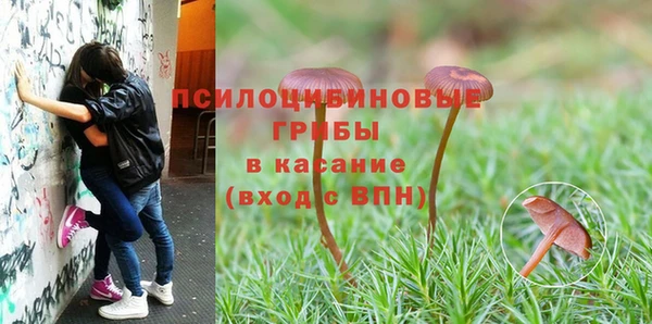 синтетический гашиш Алексин